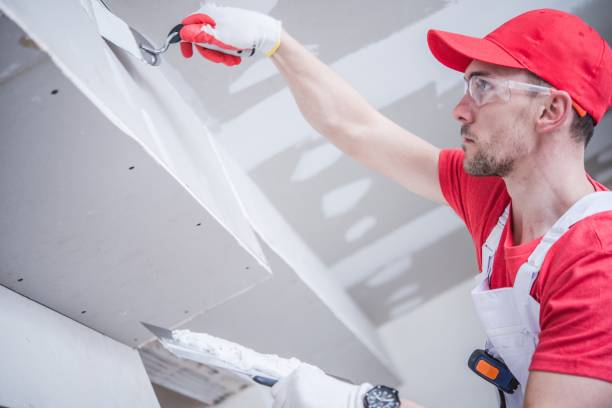 Best Asbestos and Lead Testing During Mold Inspection  in Bort, GA